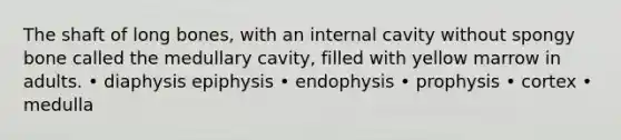 The shaft of long bones, with an internal cavity without spongy bone called the medullary cavity, filled with yellow marrow in adults. • diaphysis epiphysis • endophysis • prophysis • cortex • medulla