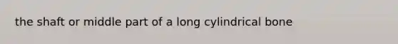 the shaft or middle part of a long cylindrical bone