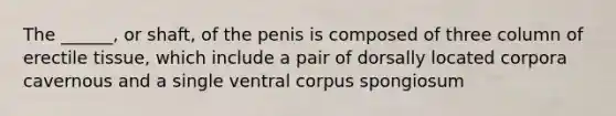 The ______, or shaft, of the penis is composed of three column of erectile tissue, which include a pair of dorsally located corpora cavernous and a single ventral corpus spongiosum