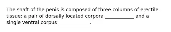 The shaft of the penis is composed of three columns of erectile tissue: a pair of dorsally located corpora ____________ and a single ventral corpus _____________.