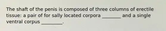 The shaft of the penis is composed of three columns of erectile tissue: a pair of for sally located corpora ________ and a single ventral corpus _________.