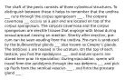 The shaft of the penis consists of three cylindrical structures. To distinguish between these it helps to remember that the urethra ___ runs through the corpus spongiosum ___ . The corpora cavernosa ___ occurs as a pair and are located on top of the corpus spongiosum. The corpora cavernosa and the corpus spongiosum are erectile tissues that engorge with blood during sexual arousal causing an erection. Shortly after erection, pre-cum can be seen exuding from the urethra. Pre-cum is produced by the bulbourethral glands ___ also known as Cowper's glands. The testicles 1 are housed in the scrotum. On the top of each testicle, you find the epididymis ___ , and mature sperm are stored here prior to ejaculation. During ejaculation, sperm will travel from the epididymis through the vas deferens ___ and pick up fluids from the seminal vesicles ___ , and from the prostate gland ___ .