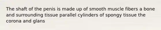 The shaft of the penis is made up of smooth muscle fibers a bone and surrounding tissue parallel cylinders of spongy tissue the corona and glans