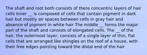 The shaft and root both consists of there concentric layers of hair cells Inner __ is composed of cells that contain pigment in dark hair but mostly air spaces between cells in gray hair and absence of pigment in white hair The middle __ forms the major part of the shaft and consists of elongated cells. The __ of the hair, the outermost layer, consists of a single layer of thin, flat cells that are arranged like shingles on the roof of a house, with their free edges pointing toward the distal end of the hair