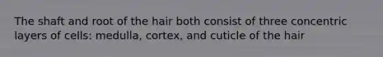 The shaft and root of the hair both consist of three concentric layers of cells: medulla, cortex, and cuticle of the hair