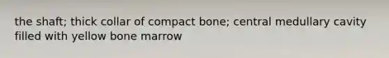 the shaft; thick collar of compact bone; central medullary cavity filled with yellow bone marrow