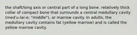 the shaft/long axis or central part of a long bone. relatively thick collar of compact bone that surrounds a central medullary cavity (med′u-lar-e; "middle"), or marrow cavity. In adults, the medullary cavity contains fat (yellow marrow) and is called the yellow marrow cavity.