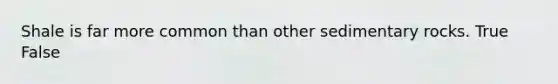 Shale is far more common than other sedimentary rocks. True False