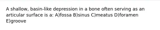 A shallow, basin-like depression in a bone often serving as an articular surface is a: A)fossa B)sinus C)meatus D)foramen E)groove