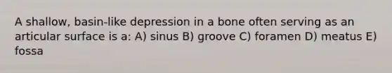 A shallow, basin-like depression in a bone often serving as an articular surface is a: A) sinus B) groove C) foramen D) meatus E) fossa