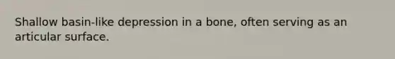 Shallow basin-like depression in a bone, often serving as an articular surface.