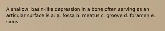 A shallow, basin-like depression in a bone often serving as an articular surface is a: a. fossa b. meatus c. groove d. foramen e. sinus