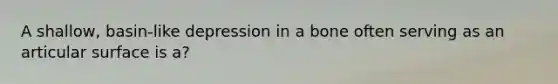 A shallow, basin-like depression in a bone often serving as an articular surface is a?