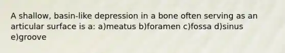 A shallow, basin-like depression in a bone often serving as an articular surface is a: a)meatus b)foramen c)fossa d)sinus e)groove