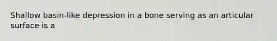 Shallow basin-like depression in a bone serving as an articular surface is a