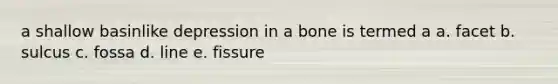 a shallow basinlike depression in a bone is termed a a. facet b. sulcus c. fossa d. line e. fissure