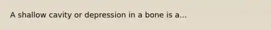 A shallow cavity or depression in a bone is a...