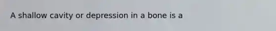 A shallow cavity or depression in a bone is a​