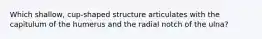Which shallow, cup-shaped structure articulates with the capitulum of the humerus and the radial notch of the ulna?