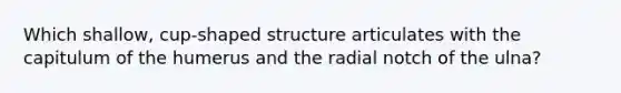 Which shallow, cup-shaped structure articulates with the capitulum of the humerus and the radial notch of the ulna?
