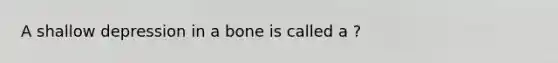 A shallow depression in a bone is called a ?