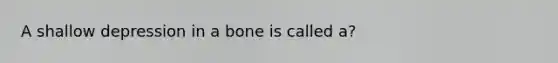 A shallow depression in a bone is called a?