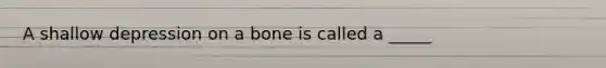 A shallow depression on a bone is called a _____