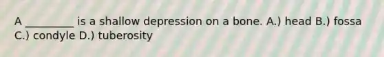 A _________ is a shallow depression on a bone. A.) head B.) fossa C.) condyle D.) tuberosity