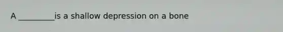 A _________is a shallow depression on a bone