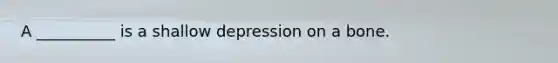 A __________ is a shallow depression on a bone.