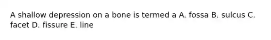 A shallow depression on a bone is termed a A. fossa B. sulcus C. facet D. fissure E. line