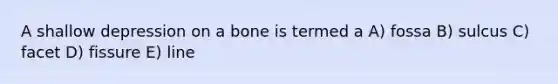 A shallow depression on a bone is termed a A) fossa B) sulcus C) facet D) fissure E) line