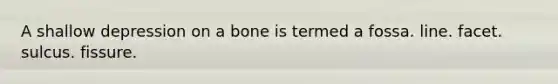 A shallow depression on a bone is termed a fossa. line. facet. sulcus. fissure.