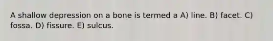 A shallow depression on a bone is termed a A) line. B) facet. C) fossa. D) fissure. E) sulcus.