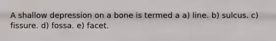 A shallow depression on a bone is termed a a) line. b) sulcus. c) fissure. d) fossa. e) facet.