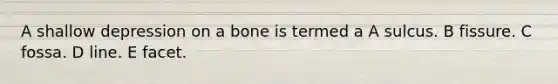 A shallow depression on a bone is termed a A sulcus. B fissure. C fossa. D line. E facet.