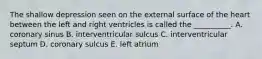 The shallow depression seen on the external surface of the heart between the left and right ventricles is called the __________. A. coronary sinus B. interventricular sulcus C. interventricular septum D. coronary sulcus E. left atrium