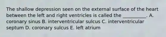 The shallow depression seen on the external surface of the heart between the left and right ventricles is called the __________. A. coronary sinus B. interventricular sulcus C. interventricular septum D. coronary sulcus E. left atrium