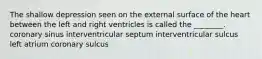 The shallow depression seen on the external surface of the heart between the left and right ventricles is called the ________. coronary sinus interventricular septum interventricular sulcus left atrium coronary sulcus