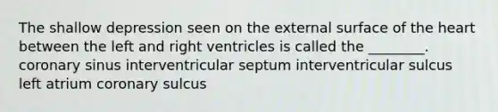 The shallow depression seen on the external surface of the heart between the left and right ventricles is called the ________. coronary sinus interventricular septum interventricular sulcus left atrium coronary sulcus