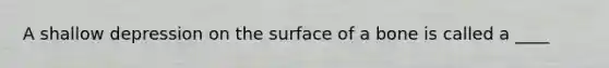 A shallow depression on the surface of a bone is called a ____