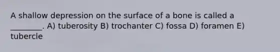 A shallow depression on the surface of a bone is called a ________. A) tuberosity B) trochanter C) fossa D) foramen E) tubercle