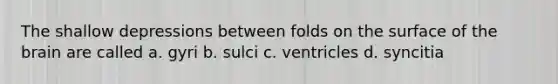 The shallow depressions between folds on the surface of <a href='https://www.questionai.com/knowledge/kLMtJeqKp6-the-brain' class='anchor-knowledge'>the brain</a> are called a. gyri b. sulci c. ventricles d. syncitia