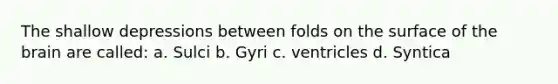 The shallow depressions between folds on the surface of <a href='https://www.questionai.com/knowledge/kLMtJeqKp6-the-brain' class='anchor-knowledge'>the brain</a> are called: a. Sulci b. Gyri c. ventricles d. Syntica