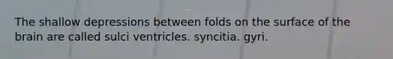 The shallow depressions between folds on the surface of <a href='https://www.questionai.com/knowledge/kLMtJeqKp6-the-brain' class='anchor-knowledge'>the brain</a> are called sulci ventricles. syncitia. gyri.