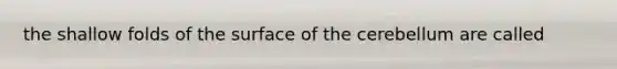 the shallow folds of the surface of the cerebellum are called