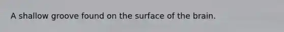 A shallow groove found on the surface of the brain.