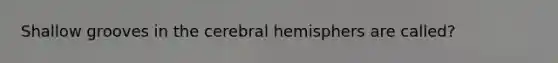 Shallow grooves in the cerebral hemisphers are called?