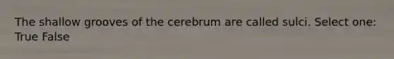 The shallow grooves of the cerebrum are called sulci. Select one: True False