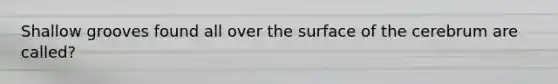 Shallow grooves found all over the surface of the cerebrum are called?